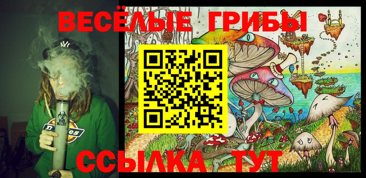 Псилоцибиновые грибы мухоморы Павловский Посад