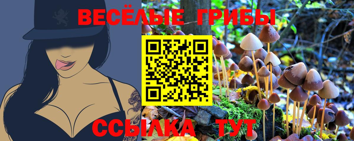 Галлюциногенные грибы Magic Shrooms  Вход с VPN  Павловский Посад 